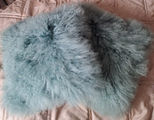 Next two teal - next, mongolian