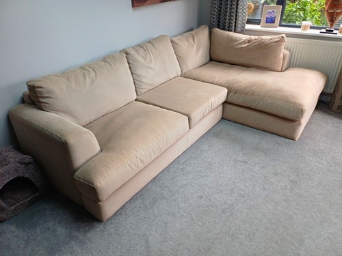 Next beige cloth - next,