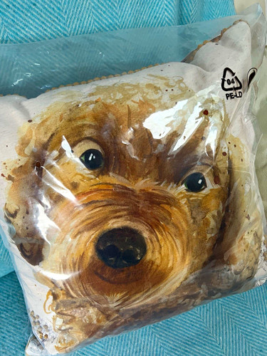 Next cockapoo print cushion - print,